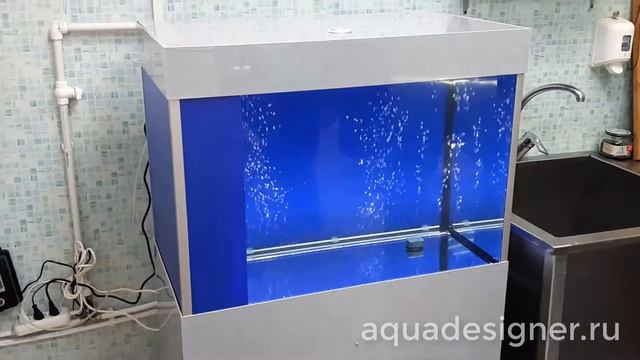 Аквариум для торговли карпом